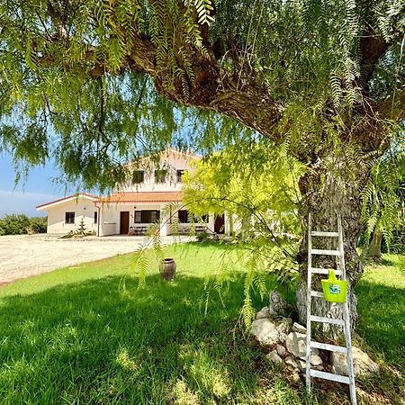 Villa Andrea San Lorenzo Noto Exterior foto